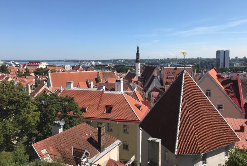 エストニアタリンの旧市街を丘から眺めた景色