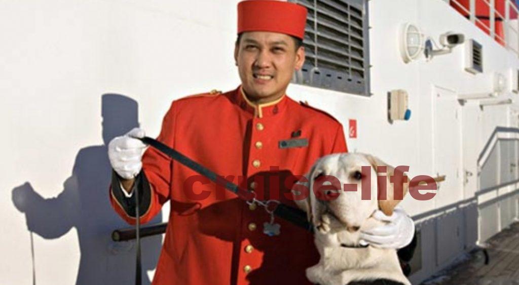 キュナードラインのdog butler